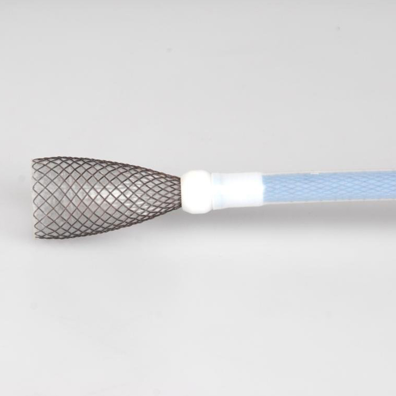 Extractor Biodegradable Stent
